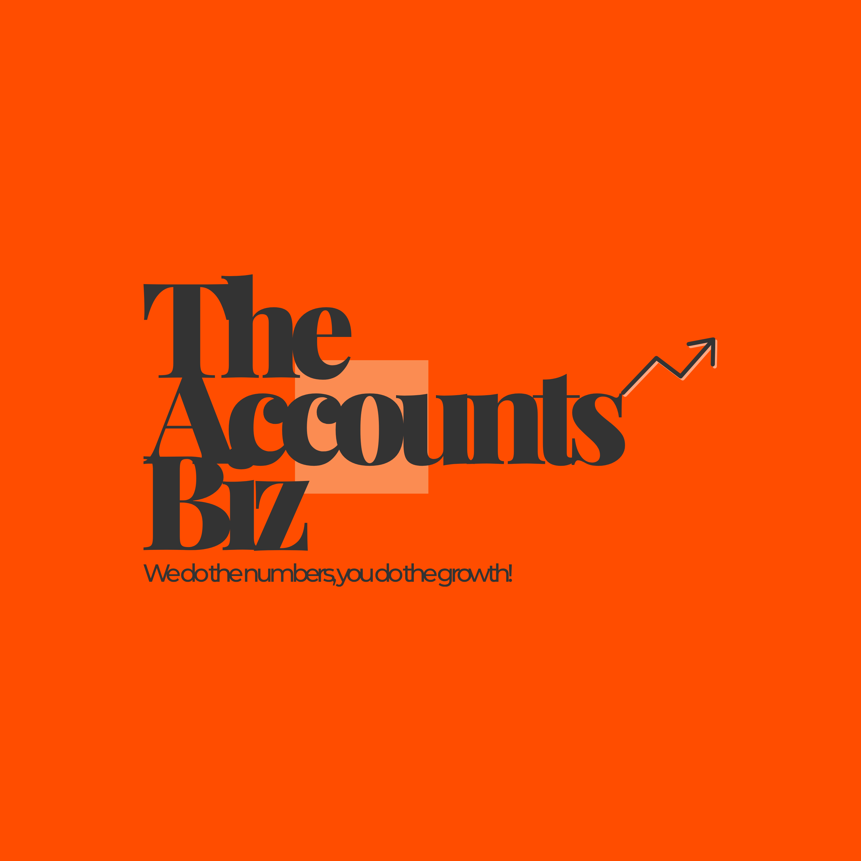 The Accounts Biz Bookkeeping & Accounting Ltd